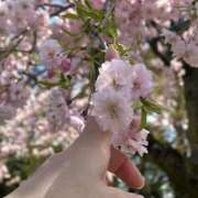 ヒメ日記 2026/04/12 09:35 投稿 ゆず 姫マーケット