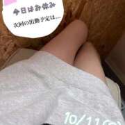 ゆず 🐈🧶 姫マーケット