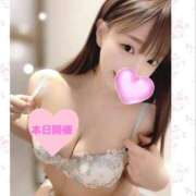 ヒメ日記 2025/03/31 11:16 投稿 うみ 名古屋性感回春エステ エルミタージュ