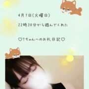 ヒメ日記 2026/04/11 03:16 投稿 うみ 名古屋性感回春エステ エルミタージュ