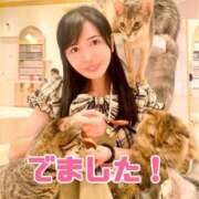 ヒメ日記 2024/12/28 10:47 投稿 ももえ 名古屋性感回春エステ エルミタージュ