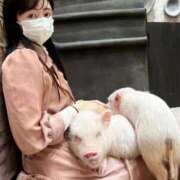 ヒメ日記 2025/02/22 18:45 投稿 ももえ 名古屋性感回春エステ エルミタージュ