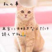 ヒメ日記 2025/04/19 14:14 投稿 ももえ 名古屋性感回春エステ エルミタージュ