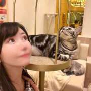 ヒメ日記 2025/05/15 15:01 投稿 ももえ 名古屋性感回春エステ エルミタージュ