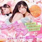 ヒメ日記 2025/06/19 12:04 投稿 ももえ 名古屋性感回春エステ エルミタージュ
