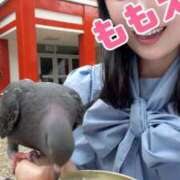 ヒメ日記 2025/08/05 23:52 投稿 ももえ 名古屋性感回春エステ エルミタージュ