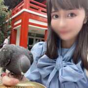 ヒメ日記 2025/09/07 14:18 投稿 ももえ 名古屋性感回春エステ エルミタージュ