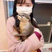 ヒメ日記 2025/09/17 21:02 投稿 ももえ 名古屋性感回春エステ エルミタージュ