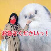 ヒメ日記 2025/10/30 12:27 投稿 ももえ 名古屋性感回春エステ エルミタージュ