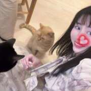 ヒメ日記 2025/11/25 07:01 投稿 ももえ 名古屋性感回春エステ エルミタージュ