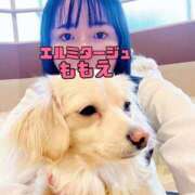 ヒメ日記 2026/01/06 00:33 投稿 ももえ 名古屋性感回春エステ エルミタージュ