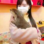 ヒメ日記 2026/02/03 19:11 投稿 ももえ 名古屋性感回春エステ エルミタージュ