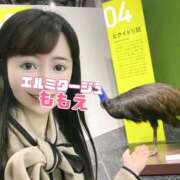 ヒメ日記 2026/02/20 08:39 投稿 ももえ 名古屋性感回春エステ エルミタージュ