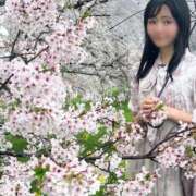 ヒメ日記 2026/03/25 18:00 投稿 ももえ 名古屋性感回春エステ エルミタージュ