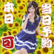 ヒメ日記 2026/03/29 10:15 投稿 ももえ 名古屋性感回春エステ エルミタージュ