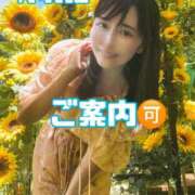 ヒメ日記 2026/04/09 09:45 投稿 ももえ 名古屋性感回春エステ エルミタージュ