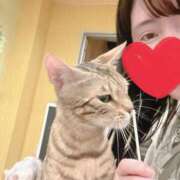 ヒメ日記 2026/05/04 19:23 投稿 ももえ 名古屋性感回春エステ エルミタージュ