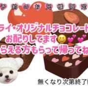 ヒメ日記 2025/02/03 18:30 投稿 ミライ 名古屋性感回春エステ エルミタージュ