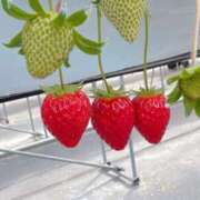 ヒメ日記 2025/03/05 11:19 投稿 ミライ 名古屋性感回春エステ エルミタージュ