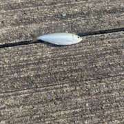 ヒメ日記 2025/05/04 10:19 投稿 ミライ 名古屋性感回春エステ エルミタージュ