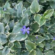 ヒメ日記 2025/05/04 15:05 投稿 ミライ 名古屋性感回春エステ エルミタージュ