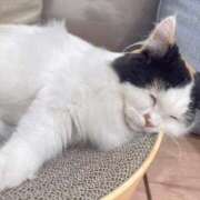 ヒメ日記 2025/07/02 23:15 投稿 ミライ 名古屋性感回春エステ エルミタージュ