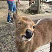 ヒメ日記 2025/10/19 15:55 投稿 ミライ 名古屋性感回春エステ エルミタージュ