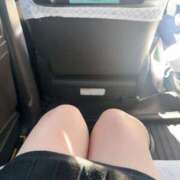 ヒメ日記 2025/11/15 16:20 投稿 ミライ 名古屋性感回春エステ エルミタージュ