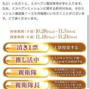 ヒメ日記 2025/11/23 00:11 投稿 ミライ 名古屋性感回春エステ エルミタージュ