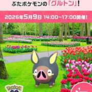 ヒメ日記 2026/05/08 21:52 投稿 ミライ 名古屋性感回春エステ エルミタージュ