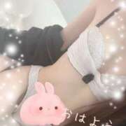 ヒメ日記 2025/03/07 15:48 投稿 かのん 名古屋性感回春エステ エルミタージュ