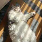 ヒメ日記 2024/12/30 10:09 投稿 のぞみ 名古屋性感回春エステ エルミタージュ