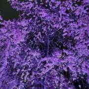 ヒメ日記 2025/03/30 10:18 投稿 のぞみ 名古屋性感回春エステ エルミタージュ