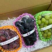 ヒメ日記 2025/09/10 12:06 投稿 のぞみ 名古屋性感回春エステ エルミタージュ