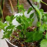 ヒメ日記 2025/10/06 06:50 投稿 のぞみ 名古屋性感回春エステ エルミタージュ