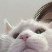 ヒメ日記 2026/04/11 10:11 投稿 のぞみ 名古屋性感回春エステ エルミタージュ