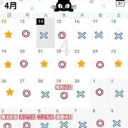 ヒメ日記 2026/04/14 21:03 投稿 みう 名古屋性感回春エステ エルミタージュ