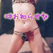 ヒメ日記 2026/07/14 19:19 投稿 みう 名古屋性感回春エステ エルミタージュ