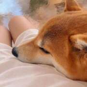 ヒメ日記 2026/09/06 19:02 投稿 みう 名古屋性感回春エステ エルミタージュ