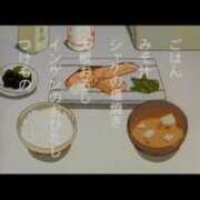 ヒメ日記 2025/02/02 00:39 投稿 にこ えすぽちゃーる