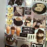 ヒメ日記 2025/02/17 23:34 投稿 にこ えすぽちゃーる