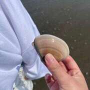 ヒメ日記 2025/02/22 00:01 投稿 にこ えすぽちゃーる