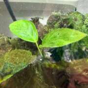 ヒメ日記 2025/03/12 18:29 投稿 にこ えすぽちゃーる