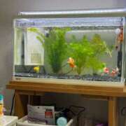 ヒメ日記 2025/03/19 17:24 投稿 にこ えすぽちゃーる