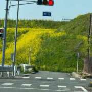 ヒメ日記 2025/03/22 10:41 投稿 にこ えすぽちゃーる