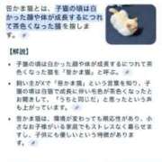 ヒメ日記 2025/03/23 15:59 投稿 にこ えすぽちゃーる