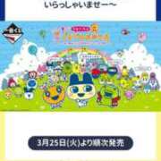 ヒメ日記 2025/03/25 17:55 投稿 にこ えすぽちゃーる
