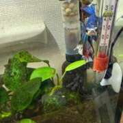 ヒメ日記 2025/03/31 02:02 投稿 にこ えすぽちゃーる