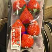 ヒメ日記 2025/03/31 13:41 投稿 にこ えすぽちゃーる