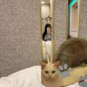 ヒメ日記 2025/04/01 02:09 投稿 にこ えすぽちゃーる